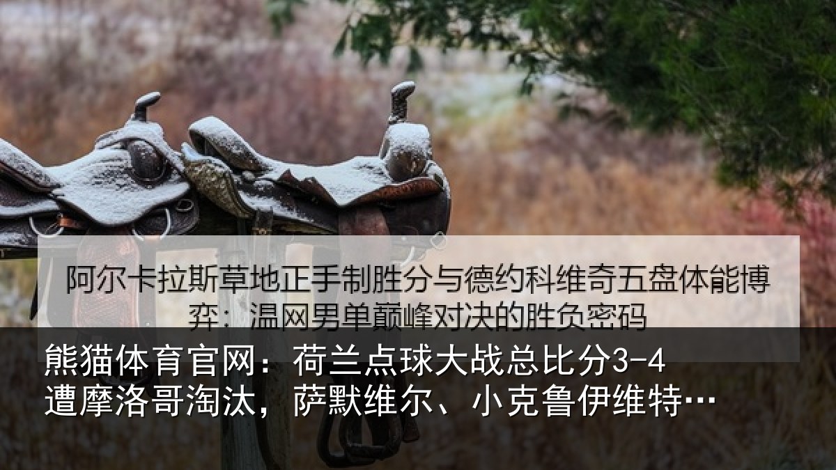 熊猫体育官网：荷兰相关情况摩洛相关情况克鲁伊维特丢点