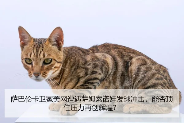萨巴伦卡卫冕美网遭遇萨姆索诺娃发球冲击，能否顶住压力再创辉煌？