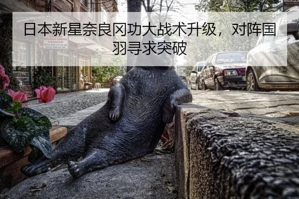 日本新星奈良冈功大战术升级，对阵国羽寻求突破